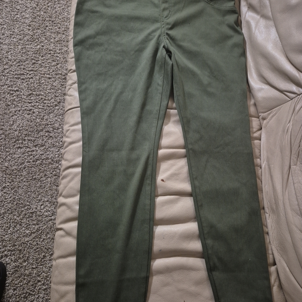 Time and Tru Men's Green Chinos